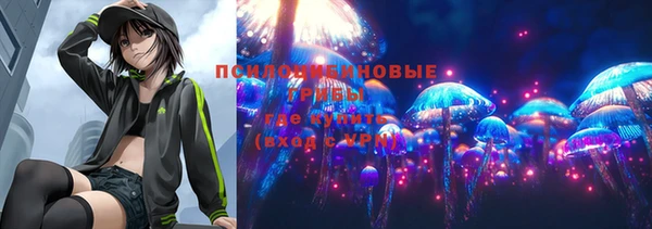 гашик Лихославль
