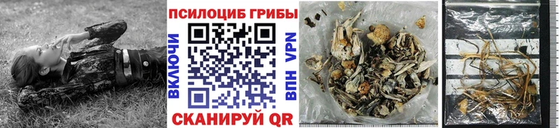 Купить где  Уфа  Галлюциногенные грибы прущие грибы 